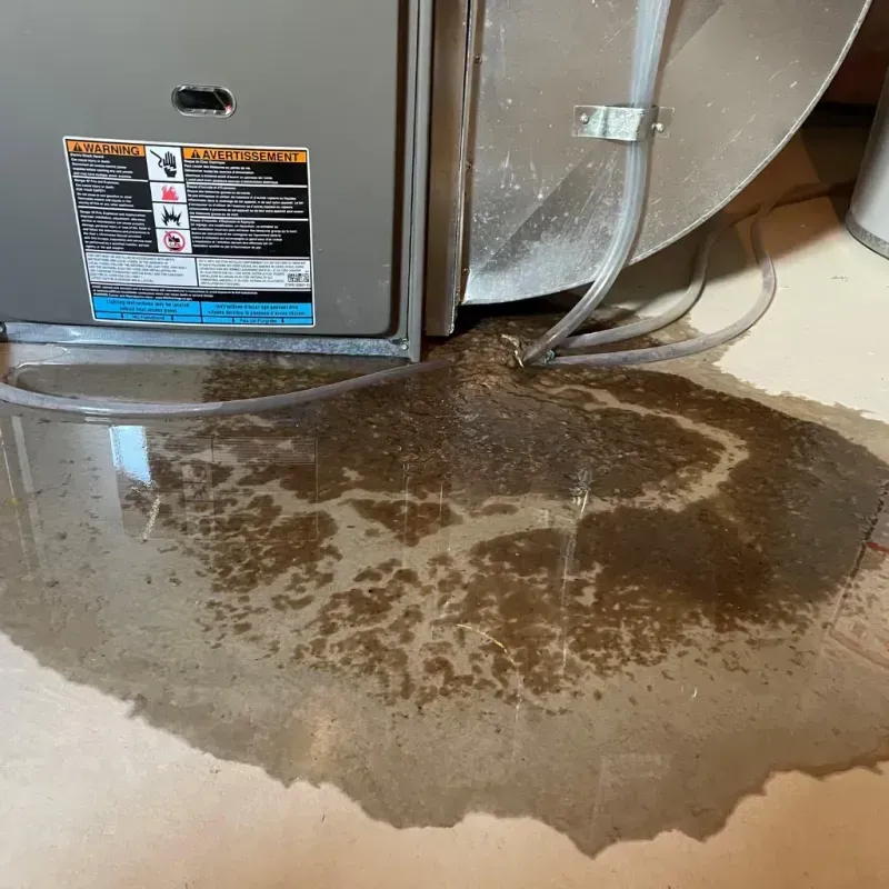 Appliance Leak Cleanup in Linton, ND